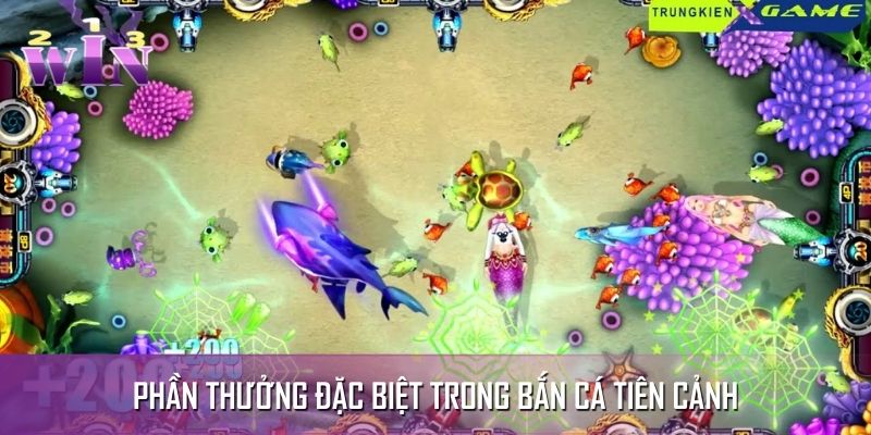Nhận phần thưởng đặc biệt khi săn cá Nhận phần thưởng đặc biệt khi săn cá