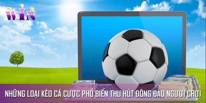 Những loại kèo cá cược phổ biến thu hút đông đảo người chơi Những loại kèo cá cược phổ biến thu hút đông đảo người chơi