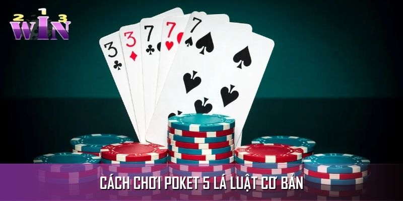 Cách chơi Poket 5 lá luật cơ bản nhất dành cho tân binh Cách chơi Poket 5 lá luật cơ bản nhất dành cho tân binh