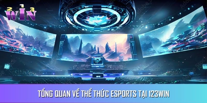 Đặc điểm chung trước khi làm quen với Esports Đặc điểm chung trước khi làm quen với Esports