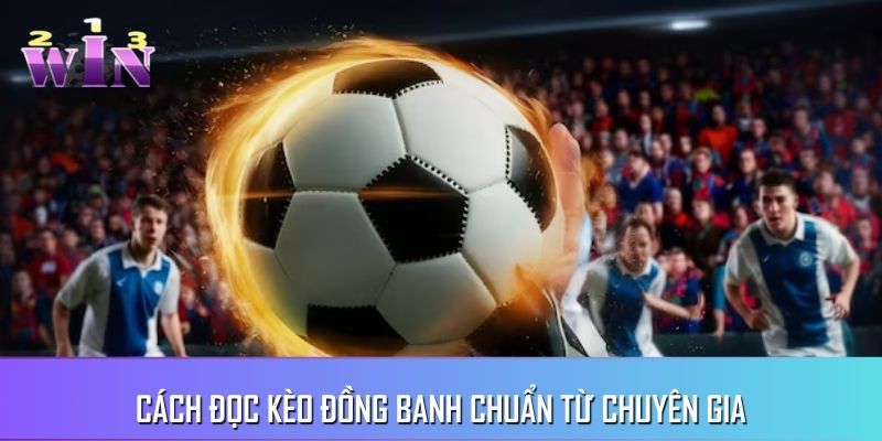 Chi tiết cách đọc kèo dành cho newbie mới làm quen Chi tiết cách đọc kèo dành cho newbie mới làm quen