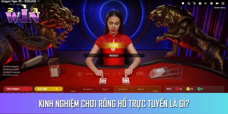 Nhà cái có chế độ chơi thử để thành viên làm quen với game Nhà cái có chế độ chơi thử để thành viên làm quen với game