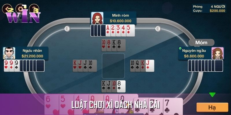 Tân binh hiểu rõ luật chơi xì dách nhà cái 123WIN Tân binh hiểu rõ luật chơi xì dách nhà cái 123WIN