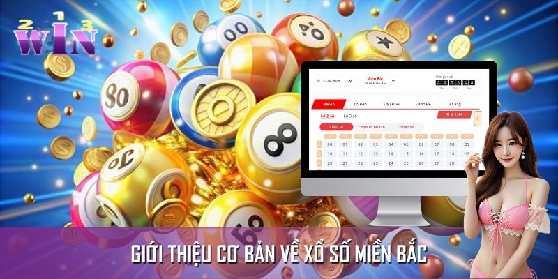 Xổ số miền Bắc nhận được sự quan tâm của người chơi Xổ số miền Bắc nhận được sự quan tâm của người chơi