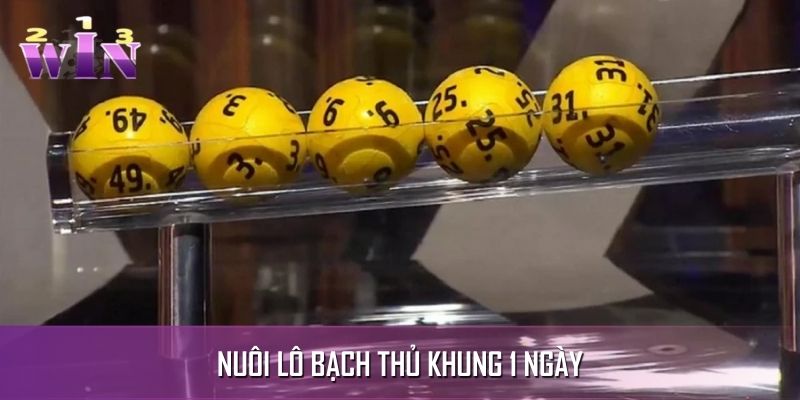 Cách thức nuôi lô theo khung 1 ngày Cách thức nuôi lô theo khung 1 ngày