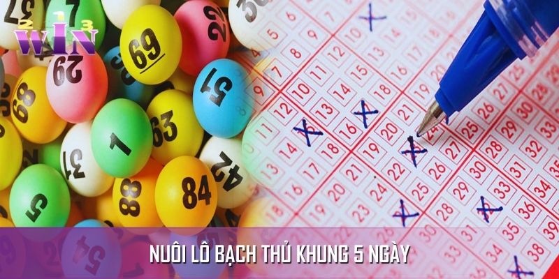 Chiến thuật nuôi lô trong 5 ngày liên tiếp Chiến thuật nuôi lô trong 5 ngày liên tiếp