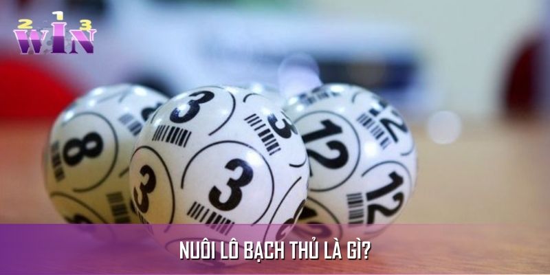 Giải mã thuật ngữ nuôi lô bạch thủ là gì? Giải mã thuật ngữ nuôi lô bạch thủ là gì?