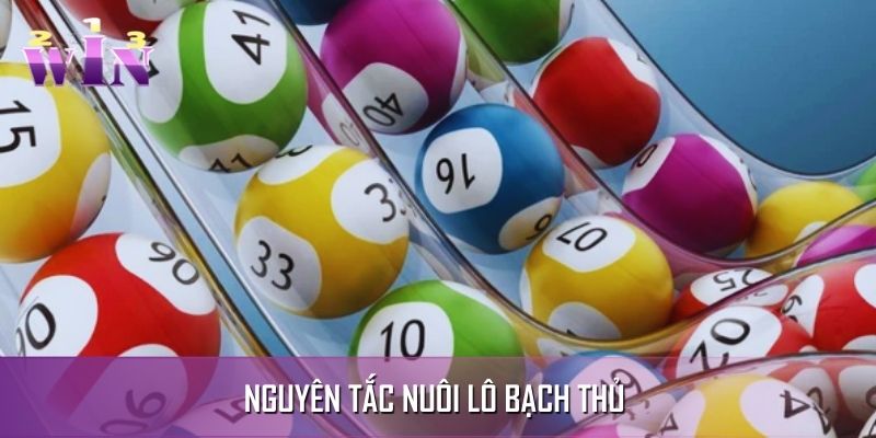Tìm hiểu nguyên tắc chơi xổ số hiệu quả Tìm hiểu nguyên tắc chơi xổ số hiệu quả