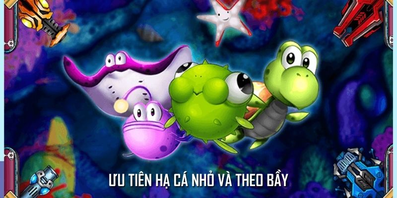Ưu tiên hạ cá nhỏ và theo bầy Ưu tiên hạ cá nhỏ và theo bầy
